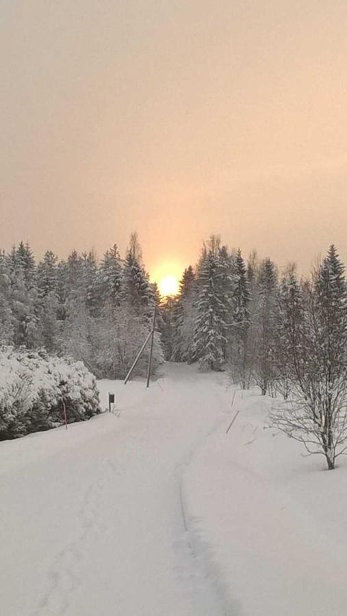 Guest House Haapaniemen Hirsikartano Idensalmi Exteriör bild